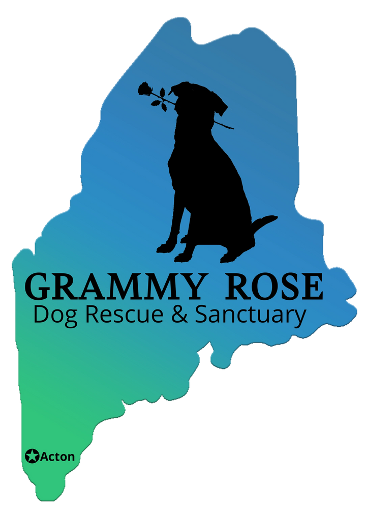 mini golf/ice cream/dog rescue -Non profit organization